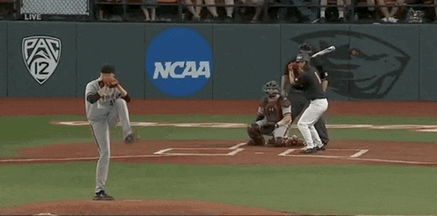 College Baseball Sport GIF by
NCAA Championships - Find & Share on GIPHY