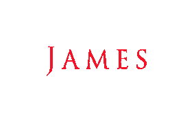 Estate Agents Sticker by Oscar James Estate Agents