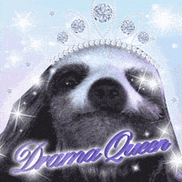 Alpha Sloth GIF by Gravitas Ventures