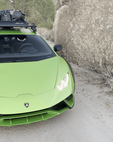 Lambo GIF by Weaver Car Storage