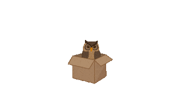 The Owl Box Sticker