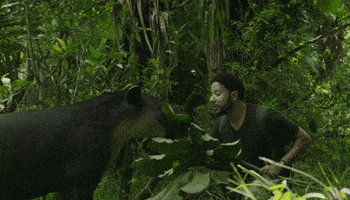 Travel Belize GIF