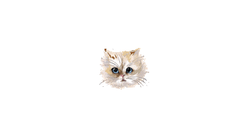 Cat Lipstick Sticker by paulandjoe_beaute