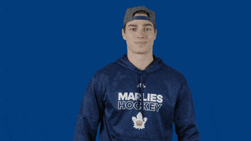 Hockey Yes GIF by Toronto Marlies