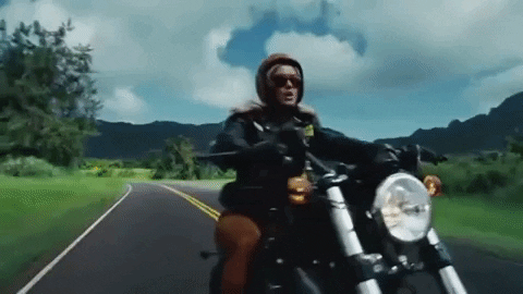 Katy-hawaii GIFs - Get the best GIF on GIPHY