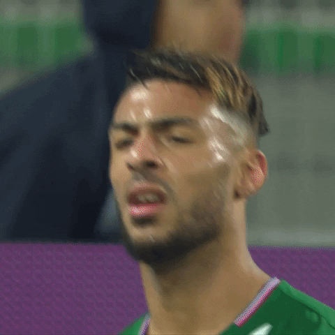 Ligue 1 What GIF by AS Saint-Étienne