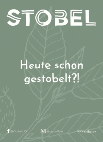 stobel GIF