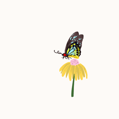 Flower Flying GIF by jayjay_illustration