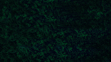 Neon Glow GIF by Rainhouse