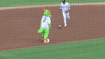 Charlotte Knights Football GIF by Homer the Dragon