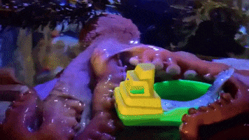 Hungry Lets Eat GIF by OctoNation® The Largest Octopus Fan Club!