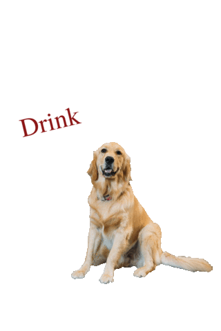 Parish Brewing Co. Sticker