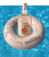 Happy Hour Swimming GIF by Pasqua Wines