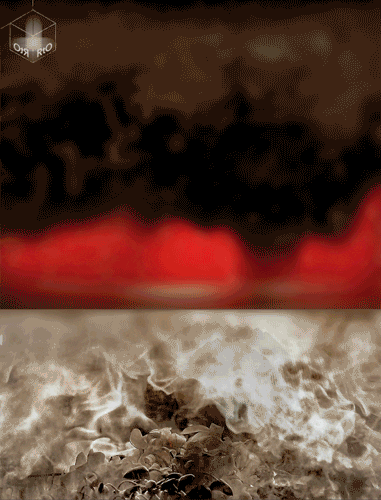 RedefineTheObvious fire red flower abstract GIF