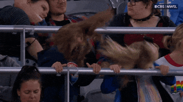 Excited Sport GIF by National Women's Soccer League