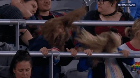 Excited Sport GIF