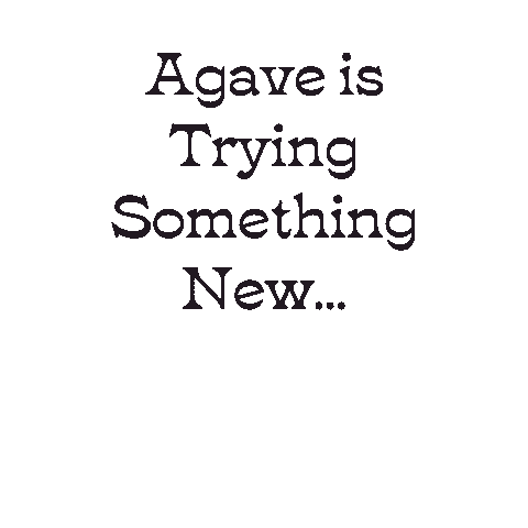 Weber Ranch Vodka Sticker