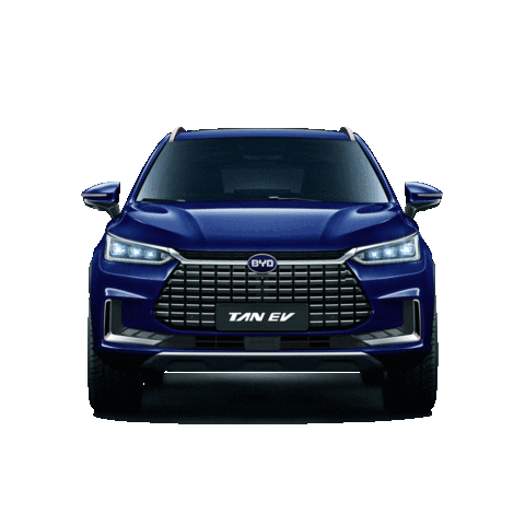 BYD Brasil Sticker