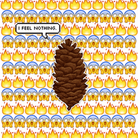 200.gif?cid=fc005b08a96ba376f0ec84d67763b11d496802416523efc3&rid=200.gif&ct=g