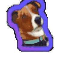 Animated Sticker