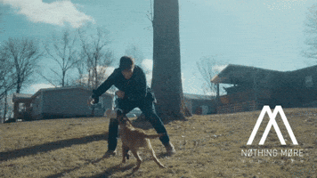 Dog Playing GIF by Better Noise Music