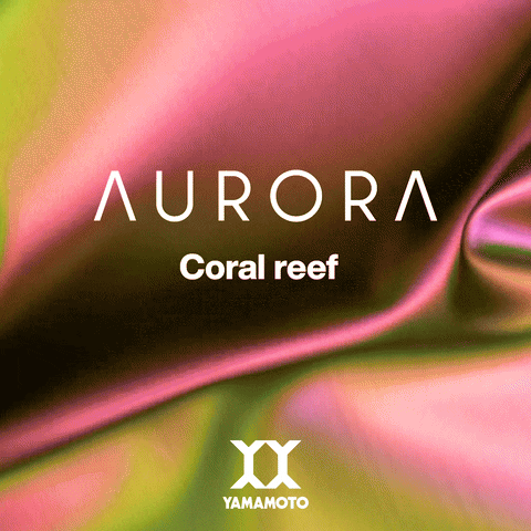 Aurora Coral GIF by Yamamoto Media