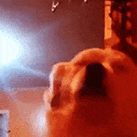 Party Dog GIF