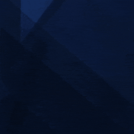 Marcellosuisser GIF