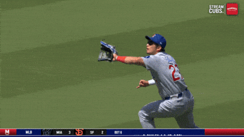 Mlb Chicago GIF