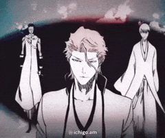 Aizen Sosuke Gin GIF
