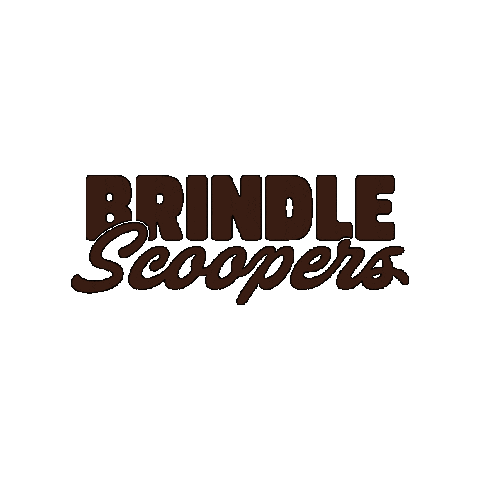 Brindle Scoopers Sticker
