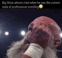 Big Show Wrestling GIF