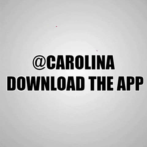 Carolina Verse GIF by Socialverse app