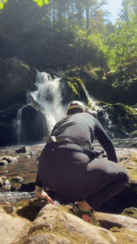 giphy.gif?cid=9b38fe91ui8hbsx8w1ww3oa5qn