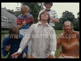 The Beach Boys GIF