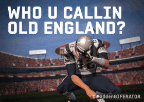 New England Patriots GIF by Madden Giferator