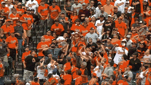Astros-fans GIFs - Get the best GIF on GIPHY