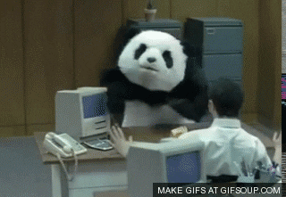 giphy.gif?cid=ecf05e4738qtaan0blc3xhh5qw