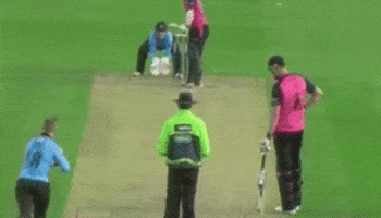 Cricket GIF by ONE World Sports