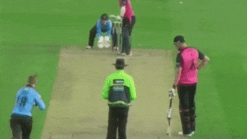 cricket GIF by ONE World Sports