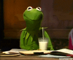 Kermit The Frog Drinking GIF
