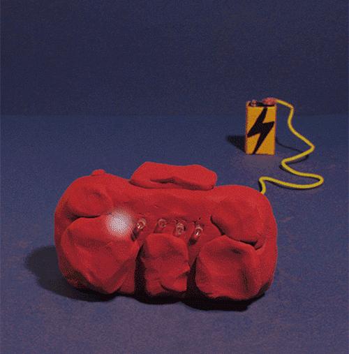 Kyle Sauer animated GIF