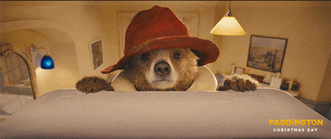 paddington bear falling GIF by The Weinstein Company