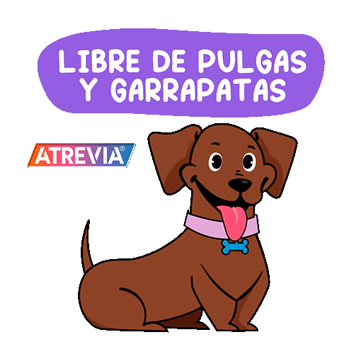 Agrovet Sticker