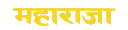 India King Sticker by koytoyboy