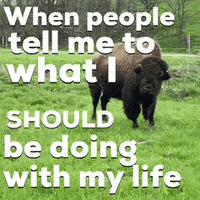 Buffalo Dont Tell Me What To Do GIF by TahKole Bio Integration