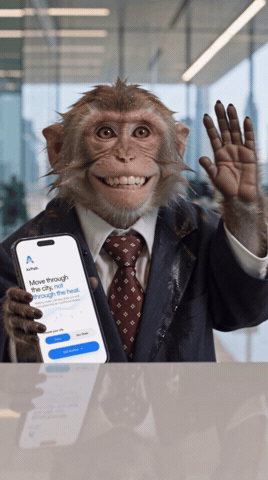 Abu Dhabi Monkey GIF