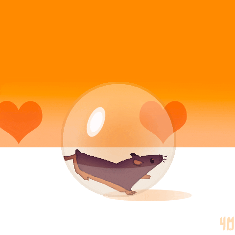 Hamster GIF