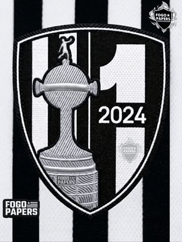 Libertadores Bfr GIF