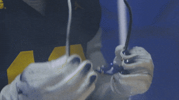 Go Blue Michigan Football GIF by Michigan Athletics